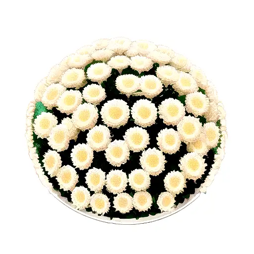 Chrysanthemum tattoo design idea