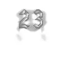 the number 23 tattoo design idea