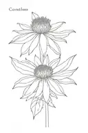 coneflower tattoo design idea