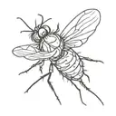 Sun Bleached Flies  tattoo design idea
