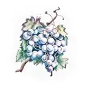 wine grape vine tattoo design idea