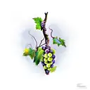 wine grape vine tattoo design idea