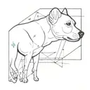 bodegero ratonero dog with one mancha in his left eye, together with orion constelation  tattoo design idea