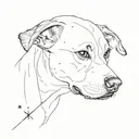 bodegero ratonero dog with one mancha in his left eye, together with orion constelation  tattoo design idea