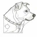 bodegero ratonero dog with one mancha in his left eye, together with orion constelation  tattoo design idea