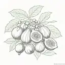 figs and olives tattoo design idea