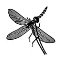 dragonfly tattoo design idea