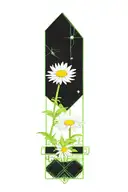 daisies tattoo design idea