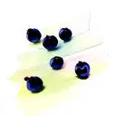 blueberry  tattoo design idea