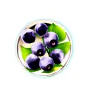 blueberry  tattoo design idea