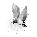 blackbird ilustration  tattoo design idea