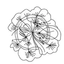 A minimalist outline of a babys breath flower with the word 'anxiety' incorporated into its stem tattoo design idea