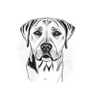 Labrador retriever tattoo design idea