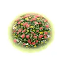 bush with flowers tattoo design idea