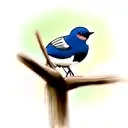 Swallow Bird tattoo design idea