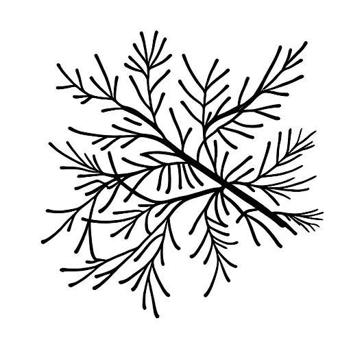 Mistletoe, Japanese larch tattoo design idea