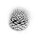 Pinecone tattoo design idea