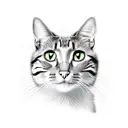 grasshopper and cat together tattoo design idea