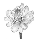 fine line daffodil two chrysanthemums and a narcissus  tattoo design idea