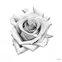 scorpion and rose tattoo design idea