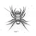 Spider tattoo design idea