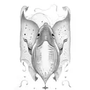 whale with Wings  tattoo design idea