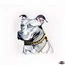 aggresive pitbull and big gold chains tattoo design idea