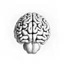 Imagine an artistic representation of a human brain, drawn with elegant lines and precise details, occupying the center  tattoo design idea