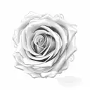 rosa negra tattoo design idea