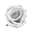 rosa negra tattoo design idea