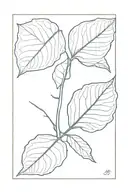 a minimal aspen leaf in rectangular frame tattoo design idea