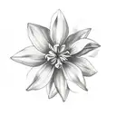 a caribbean jasmine flower tattoo design idea