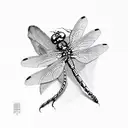 Dragonfly tattoo design idea