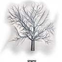 Ash tree tattoo design idea