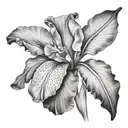 IRIS LYNN tattoo design idea