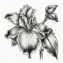 IRIS LYNN tattoo design idea