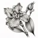 IRIS LYNN tattoo design idea