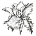 IRIS LYNN tattoo design idea