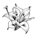 Calla Lily's  tattoo design idea