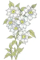 Aster, Morning glory, Narcissus flowers tattoo design idea