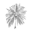 palm trees tattoo design idea