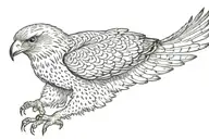 Hawk tattoo design idea