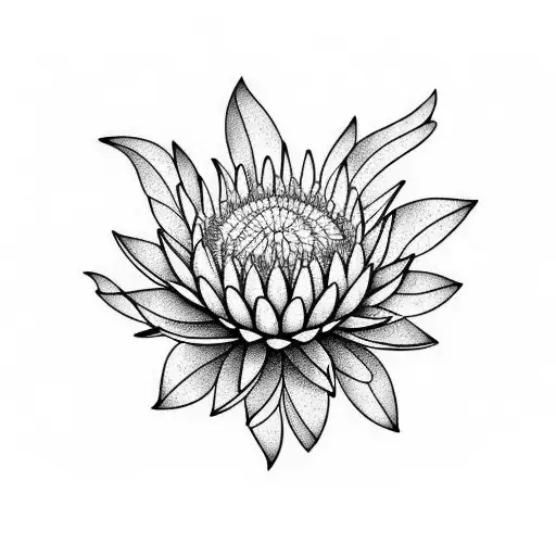 protea tattoo design idea