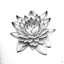 pure water lily tattoo design idea