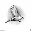 two doves with Romans 5:1 tattoo design idea