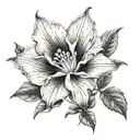 moonflower tattoo design idea