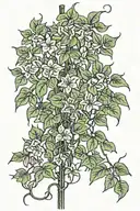 long thin moonflower vine tattoo design idea