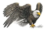 eagle with wings out on shoulder and chest tattoo tattoo design idea