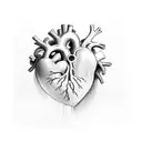 human heart tattoo design idea