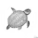 Turtle polynesian  tattoo design idea